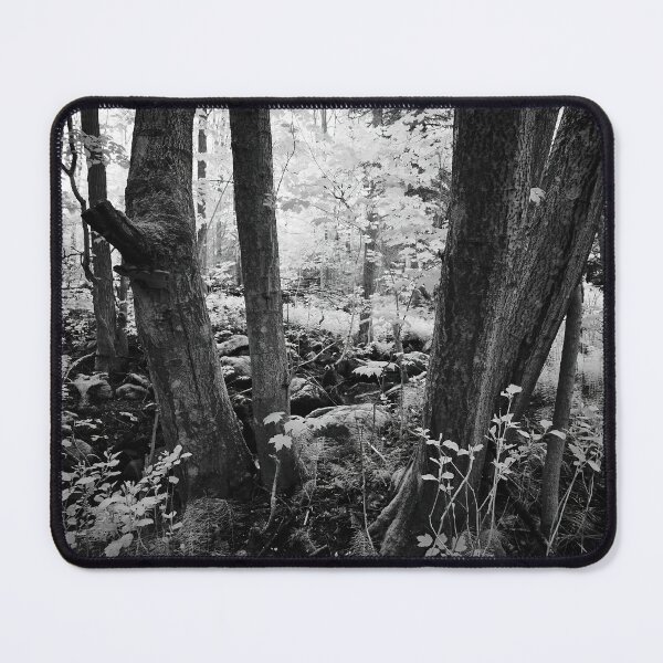Item preview, Secred forest. Infrared bw photography designed and sold by Jouko Lehto Photography.