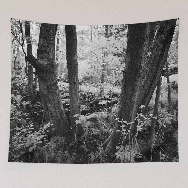 Item preview, Secred forest. Infrared bw photography designed and sold by Jouko Lehto Photography.