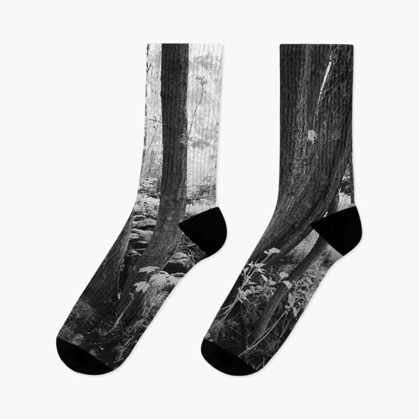 Item preview, Secred forest. Infrared bw photography designed and sold by Jouko Lehto Photography.