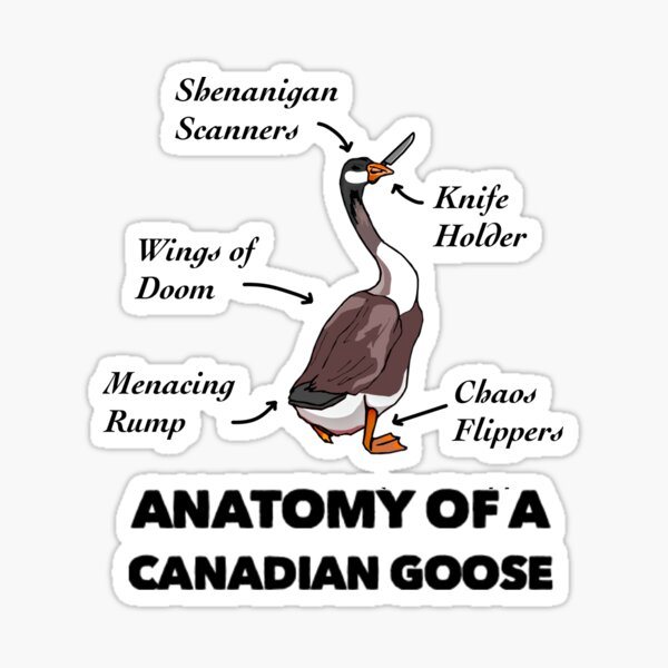 Aperçu de l'œuvre Anatomie d'une oie canadienne créée et vendue par TheUnknown93.