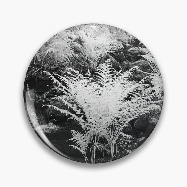 Item preview, Roots in the brook. Infrared bw photography designed and sold by Jouko Lehto Photography.