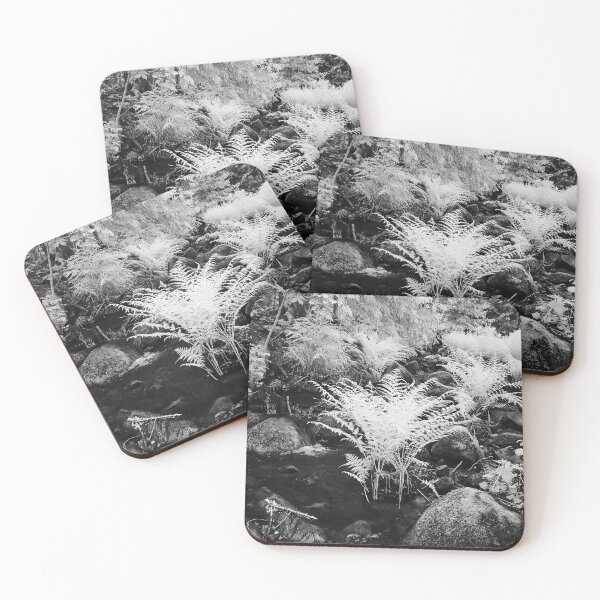 Item preview, Roots in the brook. Infrared bw photography designed and sold by Jouko Lehto Photography.
