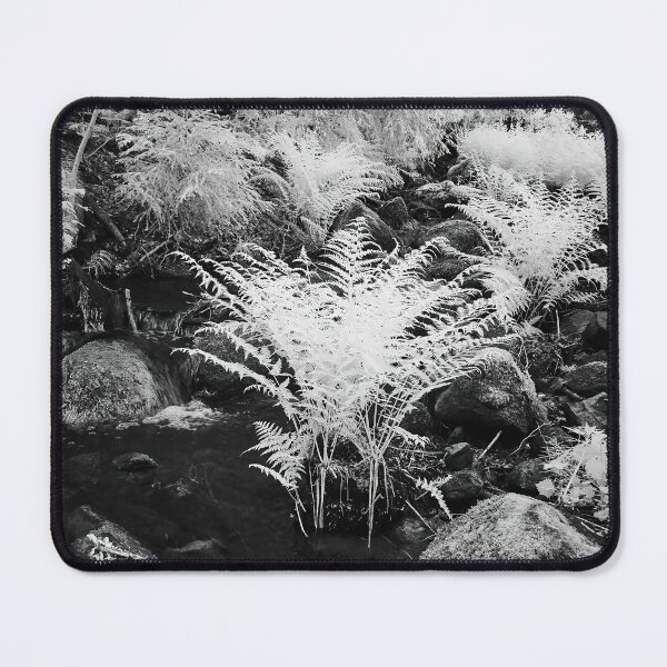 Item preview, Roots in the brook. Infrared bw photography designed and sold by Jouko Lehto Photography.