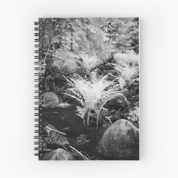 Item preview, Roots in the brook. Infrared bw photography designed and sold by Jouko Lehto Photography.