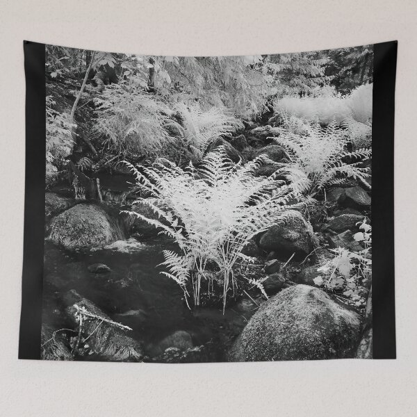 Item preview, Roots in the brook. Infrared bw photography designed and sold by Jouko Lehto Photography.