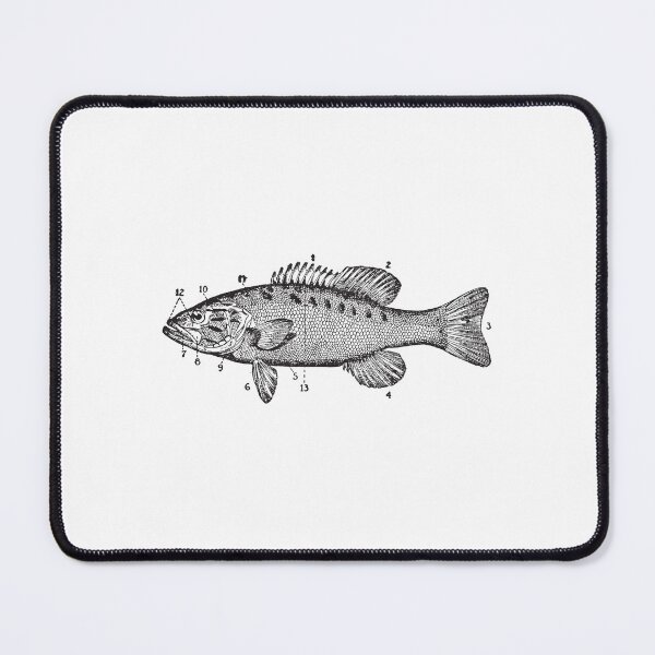 Item preview, Black Bass Sketch designed and sold by MixedBags.