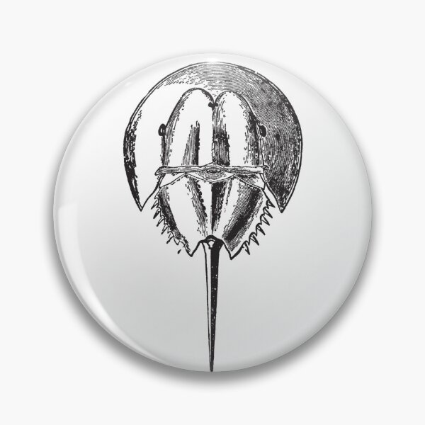 Item preview, Horseshoe Crab Sketch designed and sold by MixedBags.