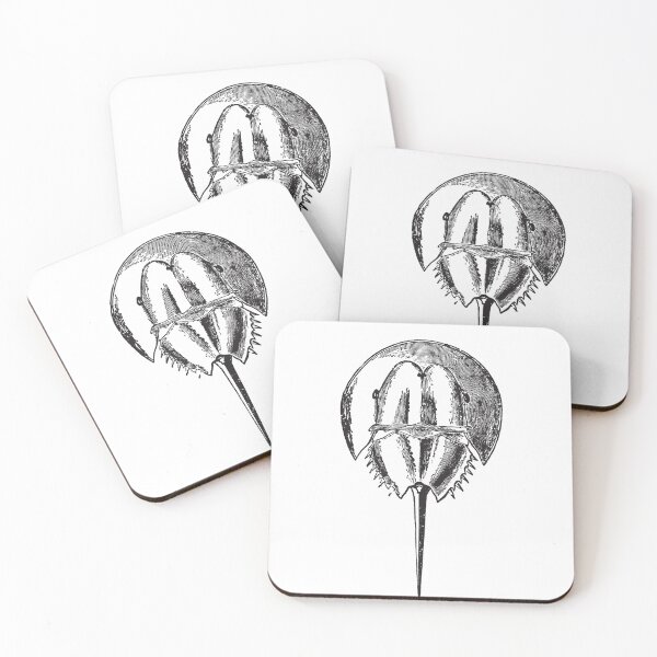 Item preview, Horseshoe Crab Sketch designed and sold by MixedBags.