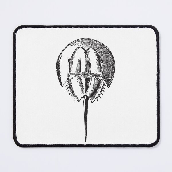 Item preview, Horseshoe Crab Sketch designed and sold by MixedBags.