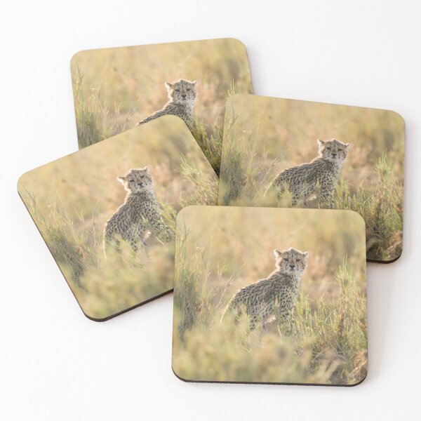 Item preview, Cheetah Cub designed and sold by emchangphoto.