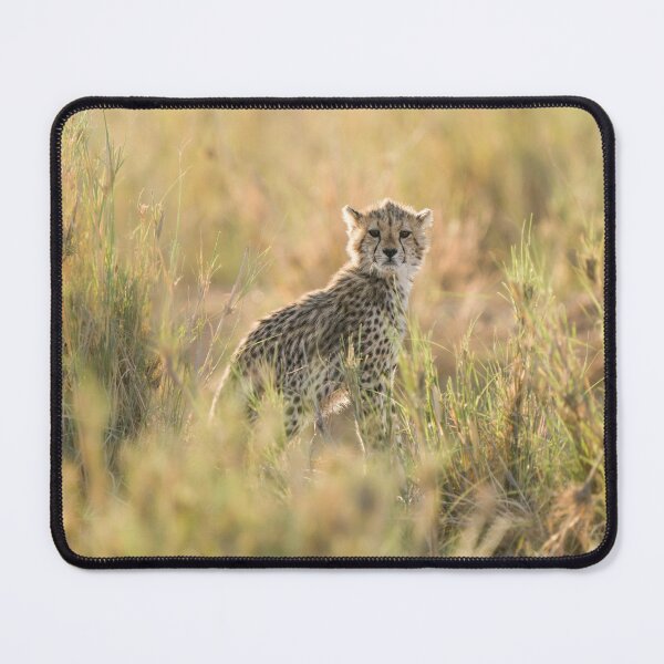 Item preview, Cheetah Cub designed and sold by emchangphoto.