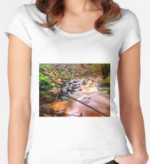 Exotic long exposure Women's Fitted Scoop T-Shirt