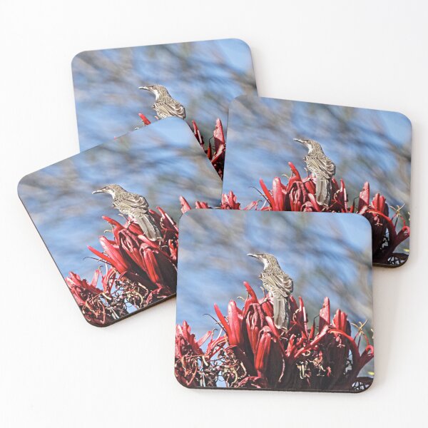 Item preview, Little Wattlebird designed and sold by Robert Elliott.