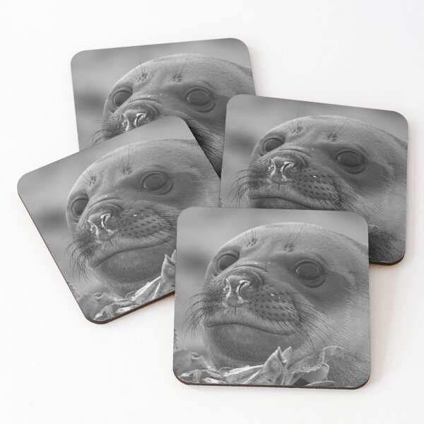 Item preview, Angel Eyes  ~  Female Southern Elephant Seal designed and sold by Robert Elliott.