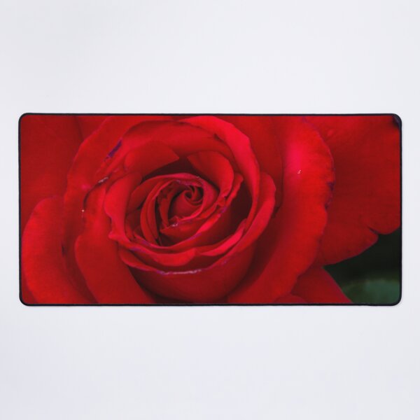 Item preview, Red Rose in Bloom at the Conservatory Garden designed and sold by Steven Jodoin.
