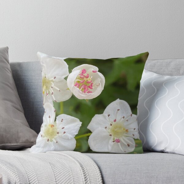 Item preview, Mayflower Hawthorn by Mark Ewing designed and sold by LifeSpice.