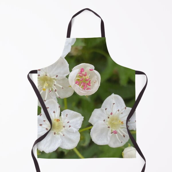 Item preview, Mayflower Hawthorn by Mark Ewing designed and sold by LifeSpice.