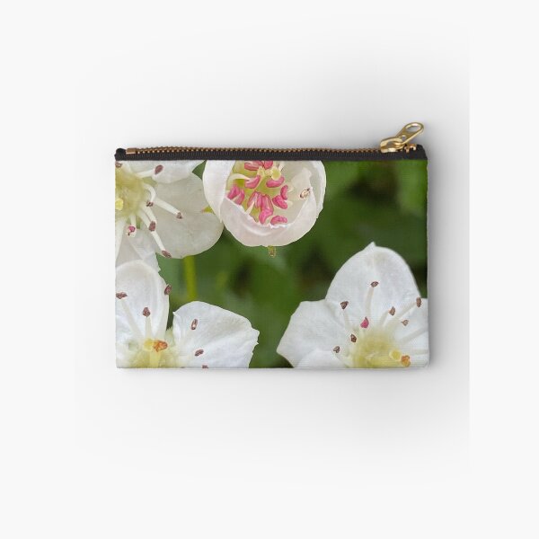 Item preview, Mayflower Hawthorn by Mark Ewing designed and sold by LifeSpice.
