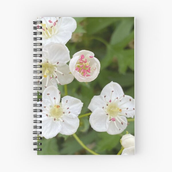 Item preview, Mayflower Hawthorn by Mark Ewing designed and sold by LifeSpice.
