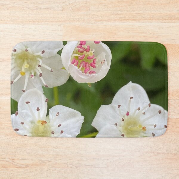 Item preview, Mayflower Hawthorn by Mark Ewing designed and sold by LifeSpice.