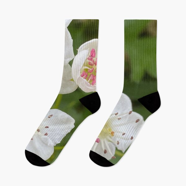 Item preview, Mayflower Hawthorn by Mark Ewing designed and sold by LifeSpice.