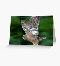Nite Owl Greeting Card