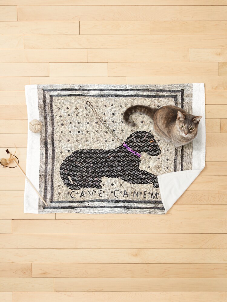 Roman CAVE CANEM Mosaic (Black Lab) Pet Mat for Sale by Goosekaid