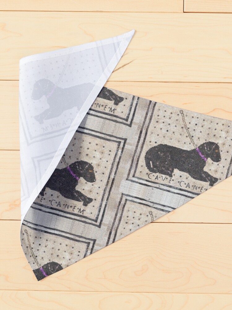 Roman CAVE CANEM Mosaic (Black Lab) Pet Mat for Sale by Goosekaid