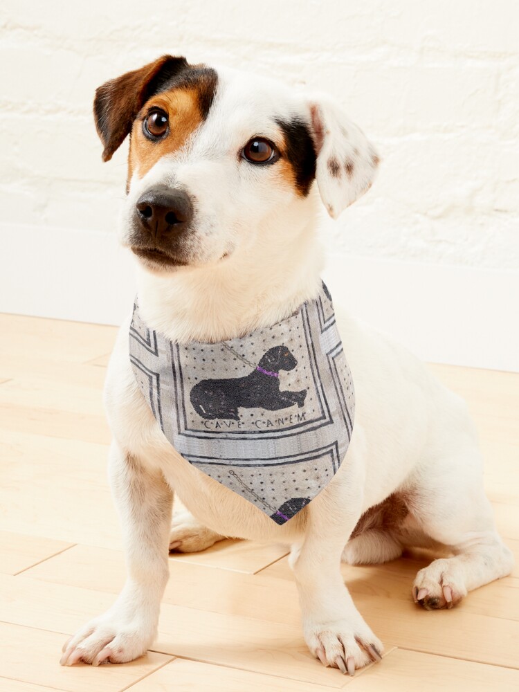 Pendleton dog outlet bandana