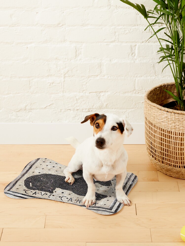 Roman CAVE CANEM Mosaic (Black Lab) Pet Mat for Sale by Goosekaid