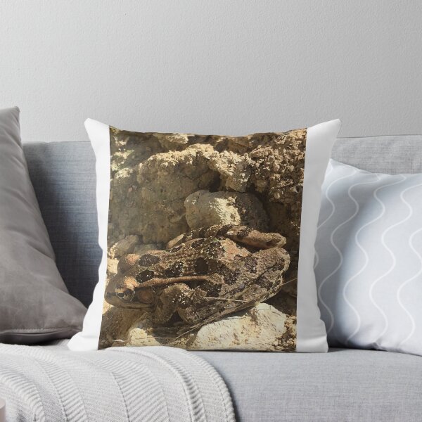 Item preview, Rio Grande Leopard Frog 1 designed and sold by NimsNature.