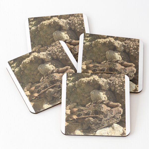 Item preview, Rio Grande Leopard Frog 1 designed and sold by NimsNature.