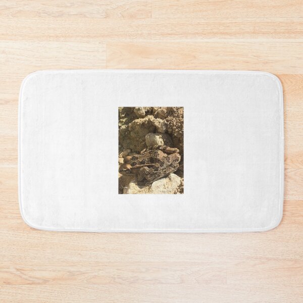 Item preview, Rio Grande Leopard Frog 1 designed and sold by NimsNature.