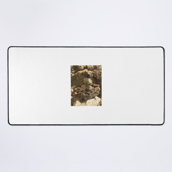 Item preview, Rio Grande Leopard Frog 1 designed and sold by NimsNature.