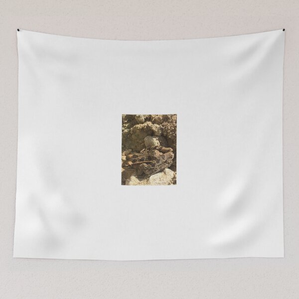 Item preview, Rio Grande Leopard Frog 1 designed and sold by NimsNature.
