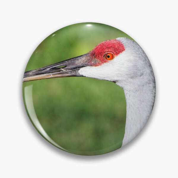 Item preview, Sandhill Crane Portrait 5 designed and sold by StevenRalserPhoto.
