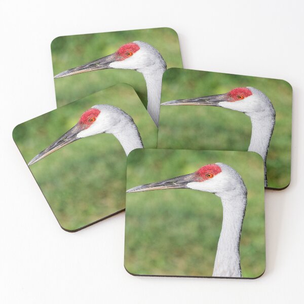 Item preview, Sandhill Crane Portrait 5 designed and sold by StevenRalserPhoto.