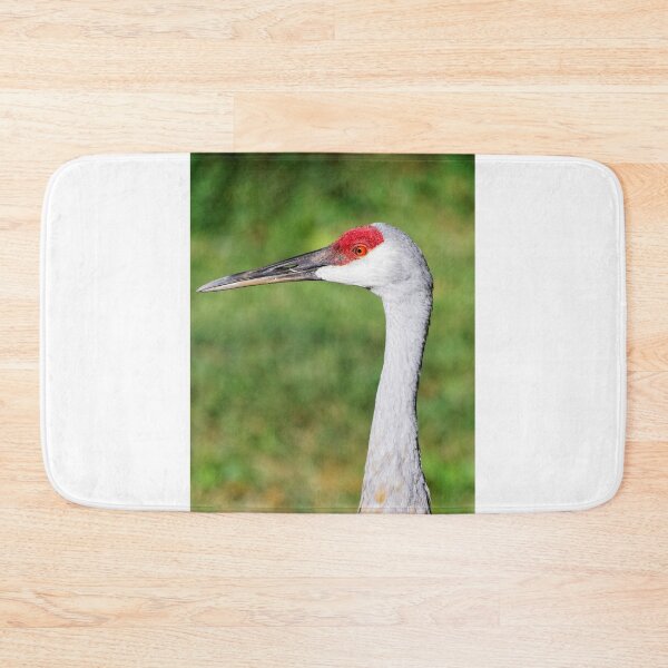 Item preview, Sandhill Crane Portrait 5 designed and sold by StevenRalserPhoto.