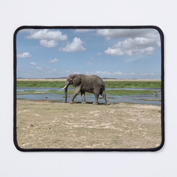 Item preview, Elephant at Amboseli designed and sold by elissaglick.