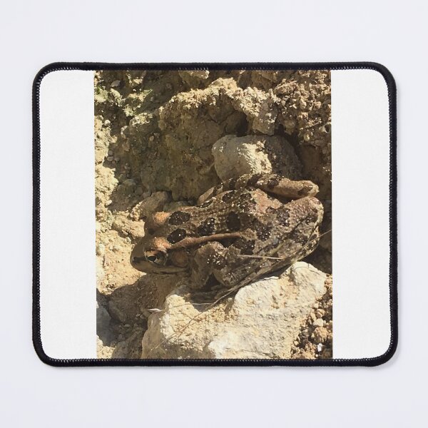Item preview, Rio Grande leopard frog 2 designed and sold by NimsNature.