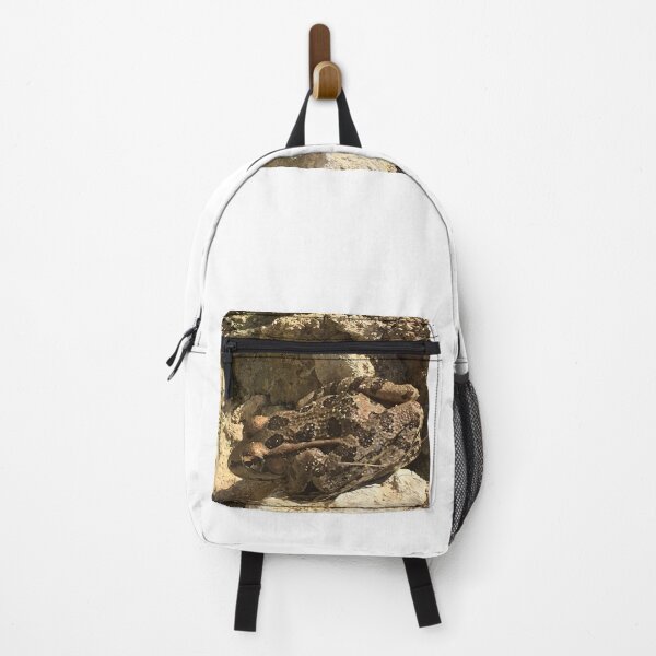 Item preview, Rio Grande leopard frog 2 designed and sold by NimsNature.