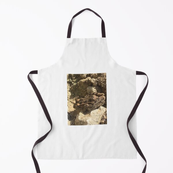 Item preview, Rio Grande leopard frog 2 designed and sold by NimsNature.