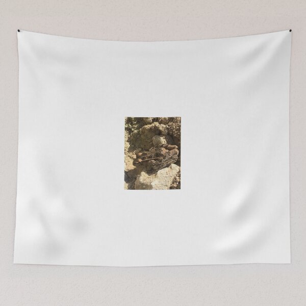 Item preview, Rio Grande leopard frog 2 designed and sold by NimsNature.