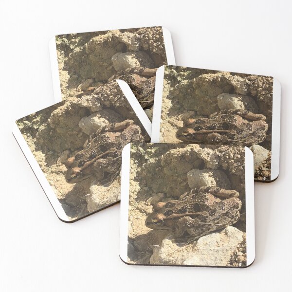 Item preview, Rio Grande leopard frog 2 designed and sold by NimsNature.