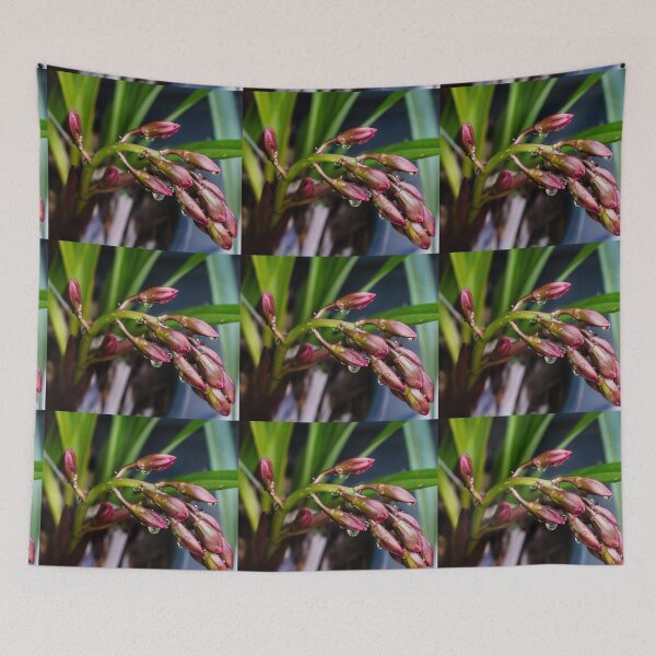 Item preview, Orchids designed and sold by RGKphotos.