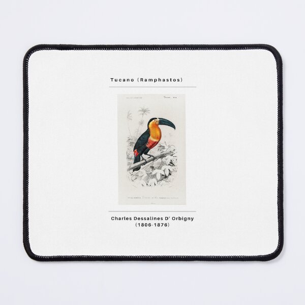 Item preview, Tucano (Ramphastos) designed and sold by limadigital.