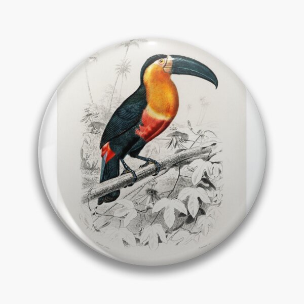 Item preview, Tucano (Ramphastos) designed and sold by limadigital.