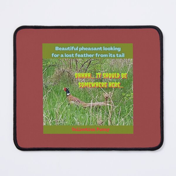 Item preview, 6. Pheasant looking for a lost feather - Collection Funny designed and sold by Narcisa22.