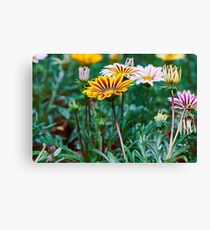 Gardener Canvas Print