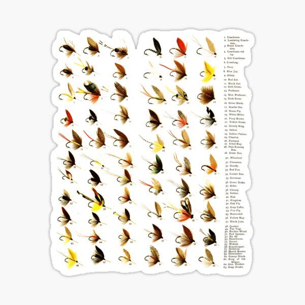 Vista previa del artículo con la obra «Pesca con mosca de trucha retro vintage», diseñado y vendido por NuongLang.